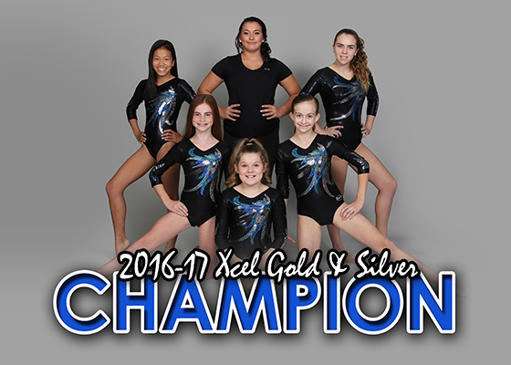 Xcel-Gold-Silver.jpg