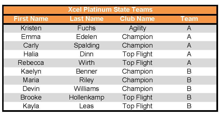 Xcel-State-Teams-pdf-image.jpg