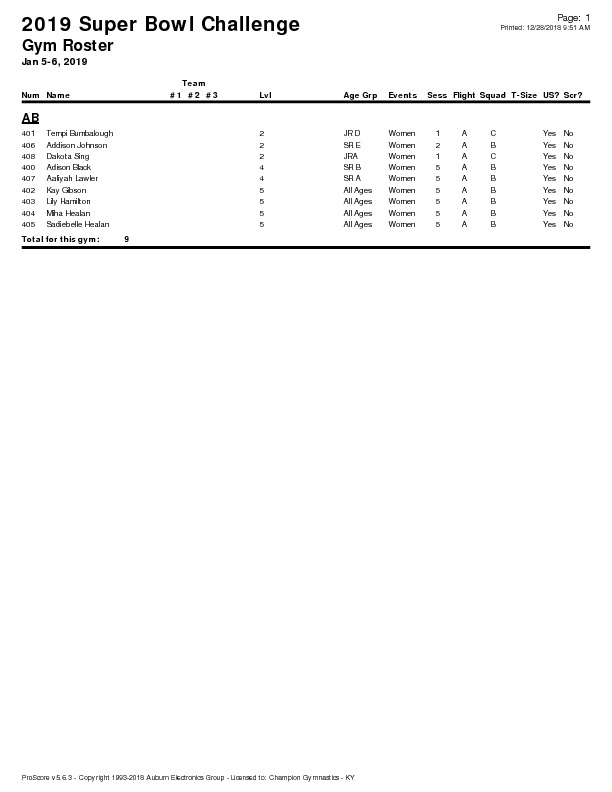 AB-Roster-Super-Bowl-Challenge-2019-pdf-image.jpg