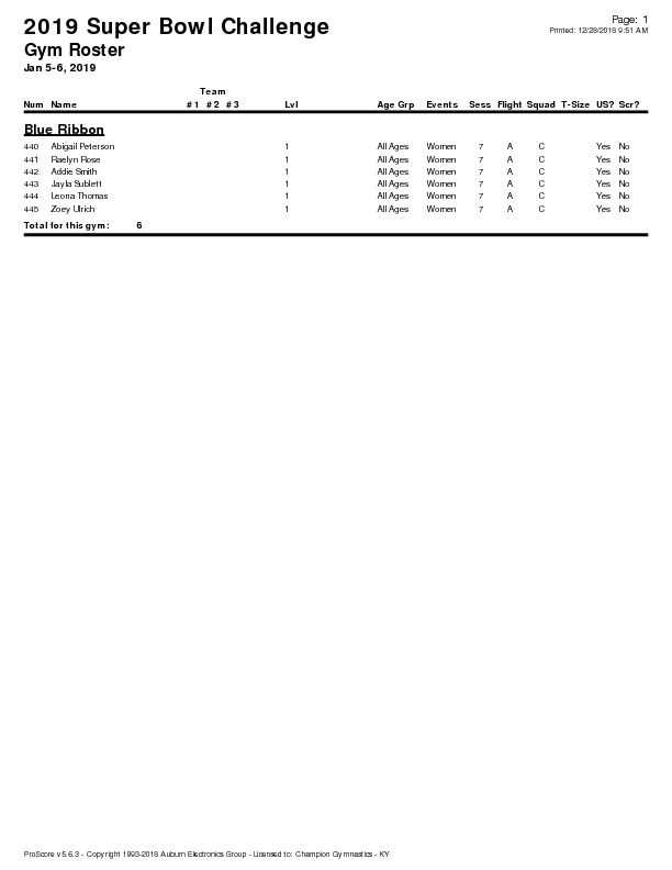 Blue-Ribbon-Roster-Super-Bowl-Challenge-2019-pdf-image.jpg